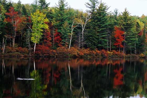 Autumn Pond in Upstate Maine