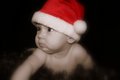 Stuart ~Santa hat~