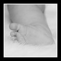 ~Tiny Toes~