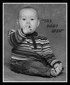 ~The Baby Bird~