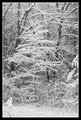 ~Snowy Morning~