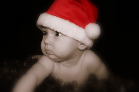 Stuart ~Santa hat~