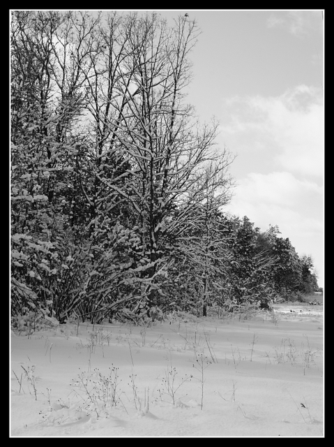 ~Long Walk Ahead~