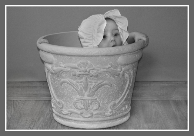 ~Peek -A- Boo~