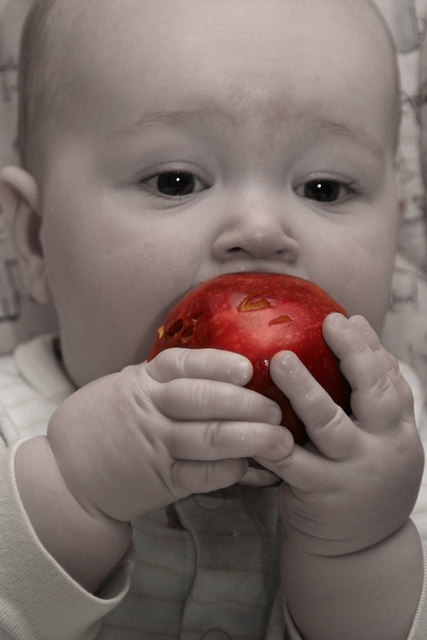 ~The First Apple~