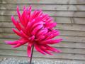 Dark Pink Flower