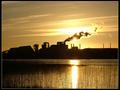 Golden Sunset I