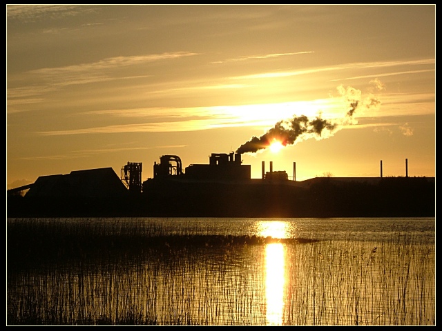 Golden Sunset I