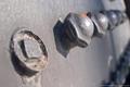 Metal Mushrooms