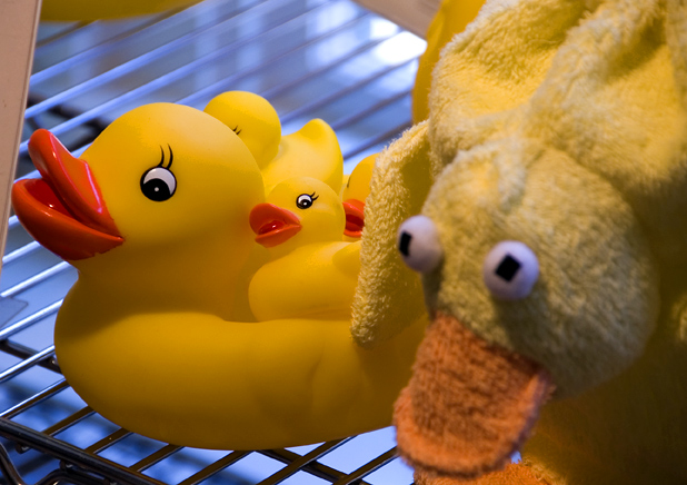 ducks.jpg