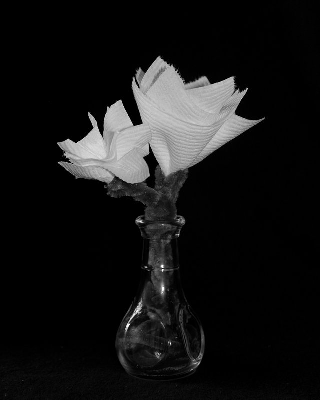 toiletpaperflowers