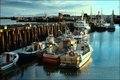 The Harbor