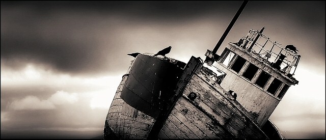 The Boat