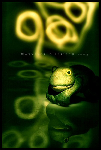 froggie.jpg