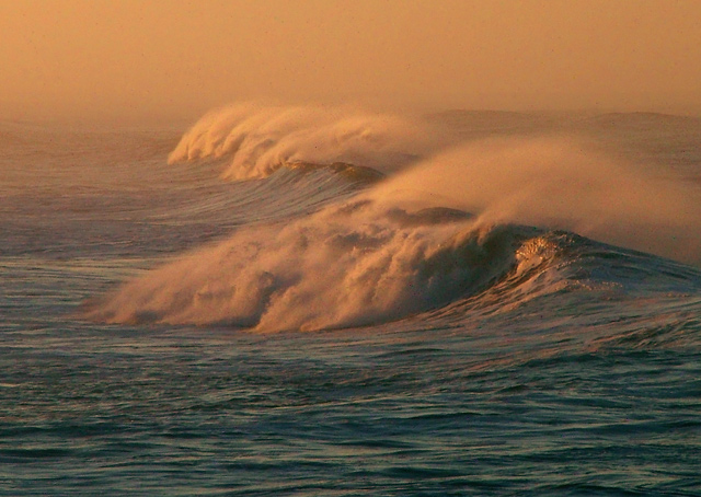 Rooster Tails