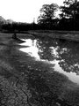Reflecting Pool
