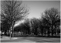 lonely road