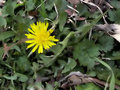 march6