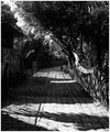 light walking