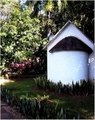 church in the trees