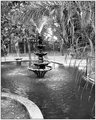 Fountain of Youth