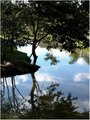 Reflecting