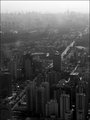 Sao Paulo from the Sky