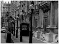 parliament