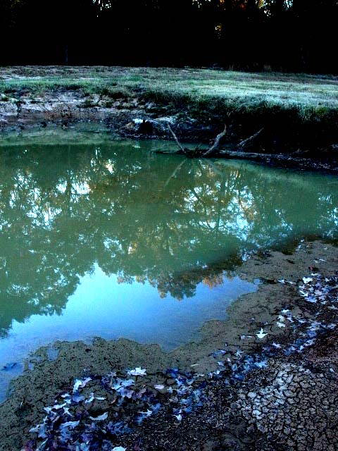 lago