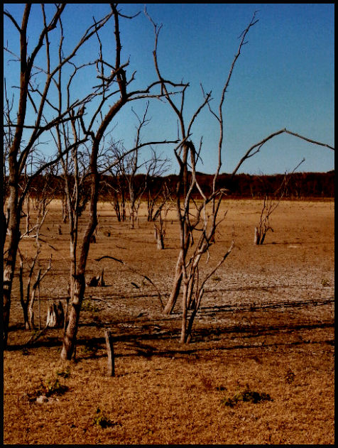 deserted