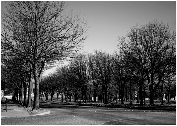 lonely road