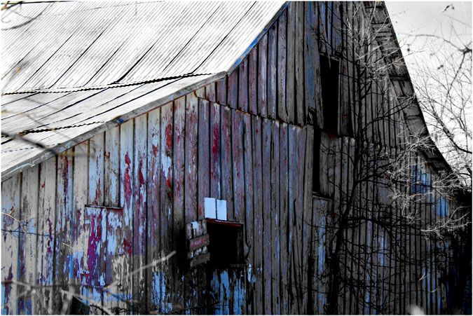barnyard fun