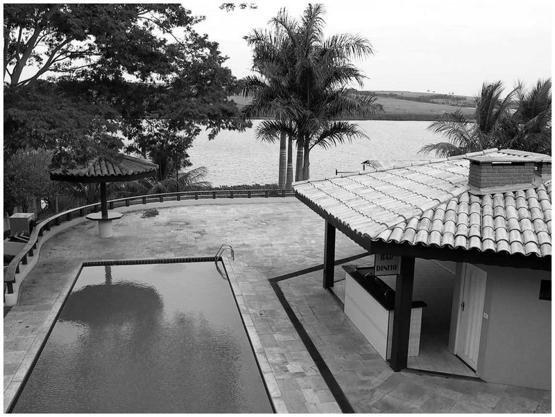 alligator lake