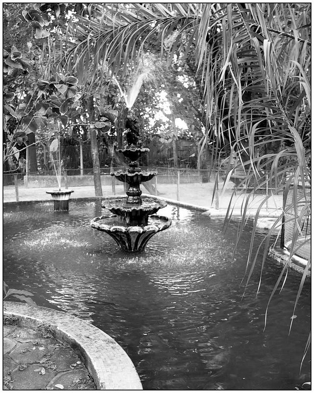 Fountain of Youth