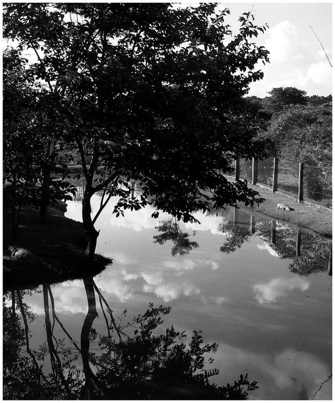 sky reflected in pool