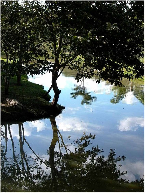 Reflecting