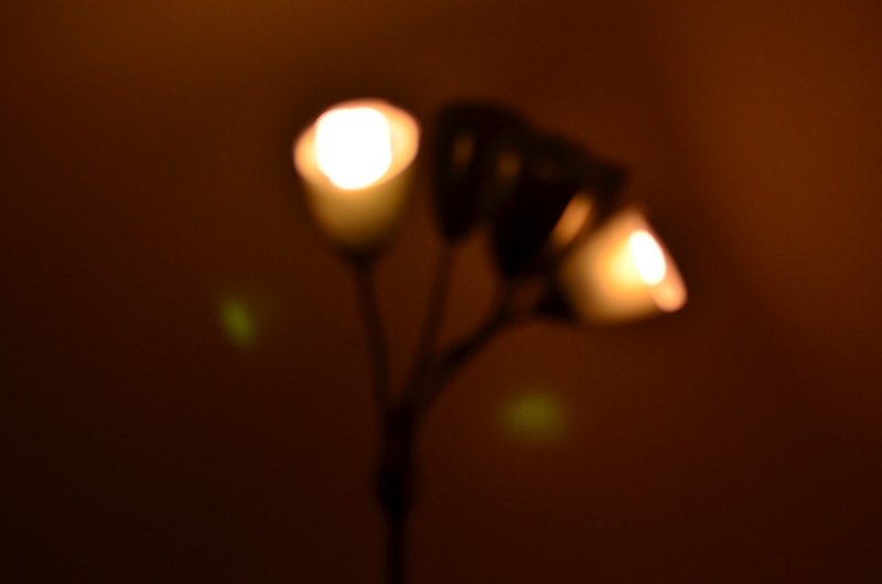 DSC_0925