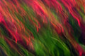 IMG_3931a-sm.jpg