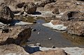 Stonescape
