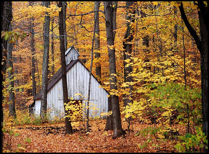 Autumn