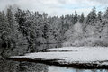 Winter estuary in color