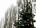 Christmas 2006