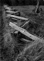 Old split rail fence