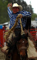 Bronc Rider