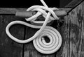 Nicely Coiled