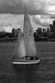 Urban Sailing