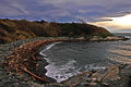 Cove at Finlayson Pt