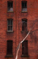Birch and Brick