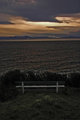 night bench