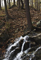 Spring runoff